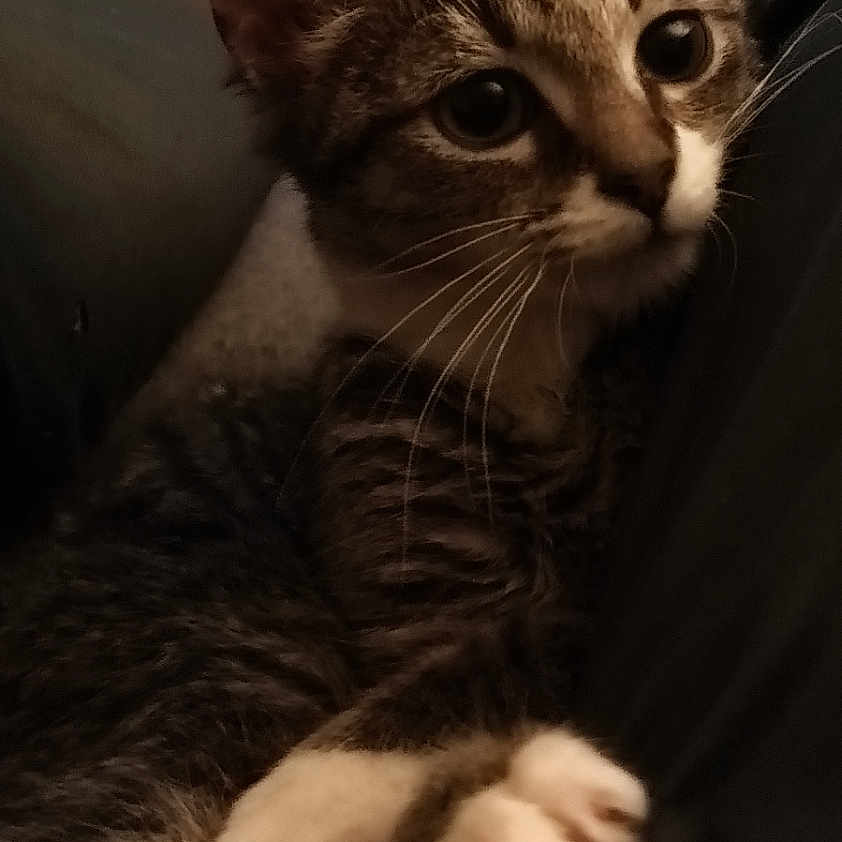 Mr.wilson