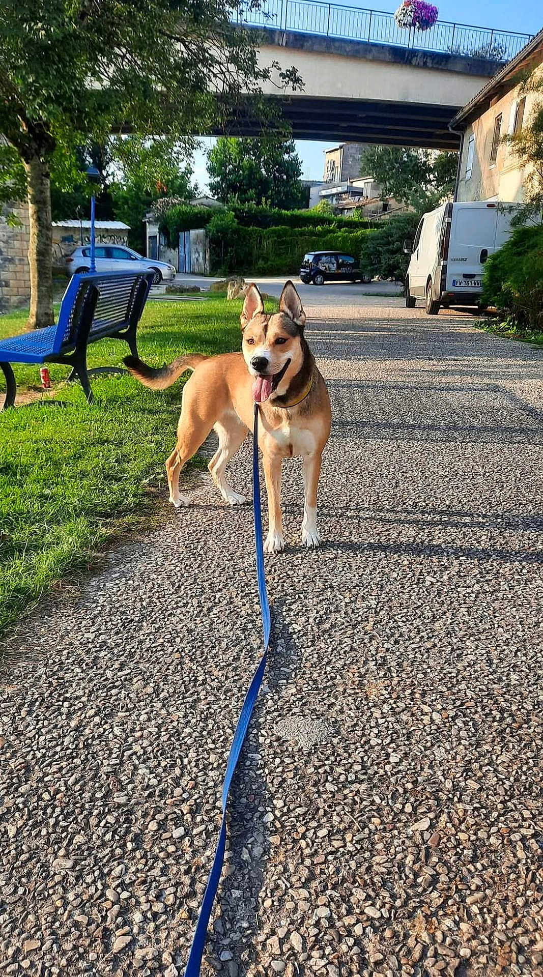 Nala