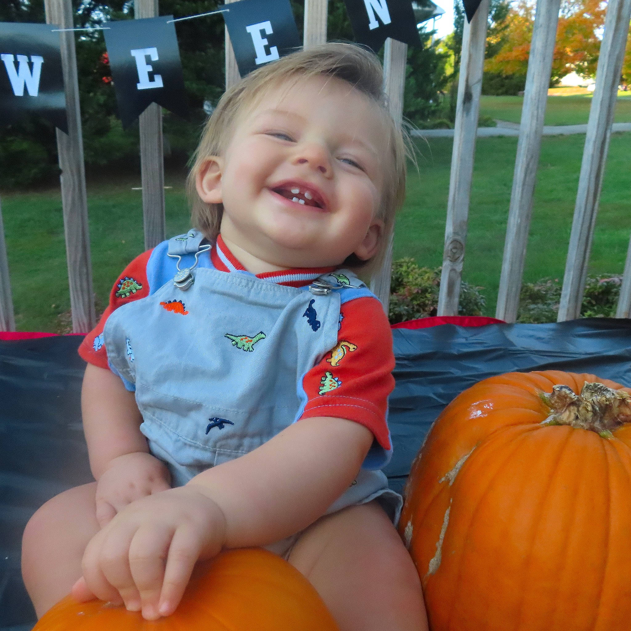 Kazmir joined the competition — help win amazing prizes! arm, baby_toddler_clothing, calabaza, clothing, cucurbita, eye, face, facial_expression, hairstyle, hand, happy, head, human_body, joy, orange, organ, person, plant, pumpkin, smile