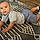 Uriah