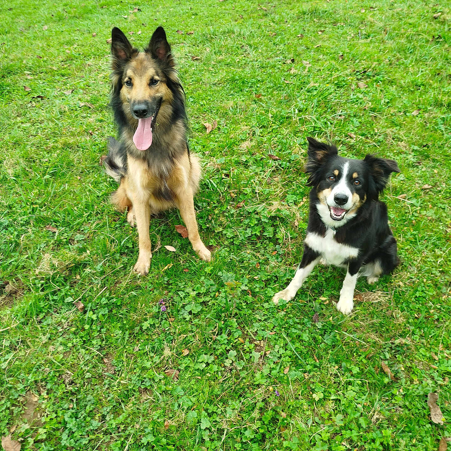 Némiss Et Tyron