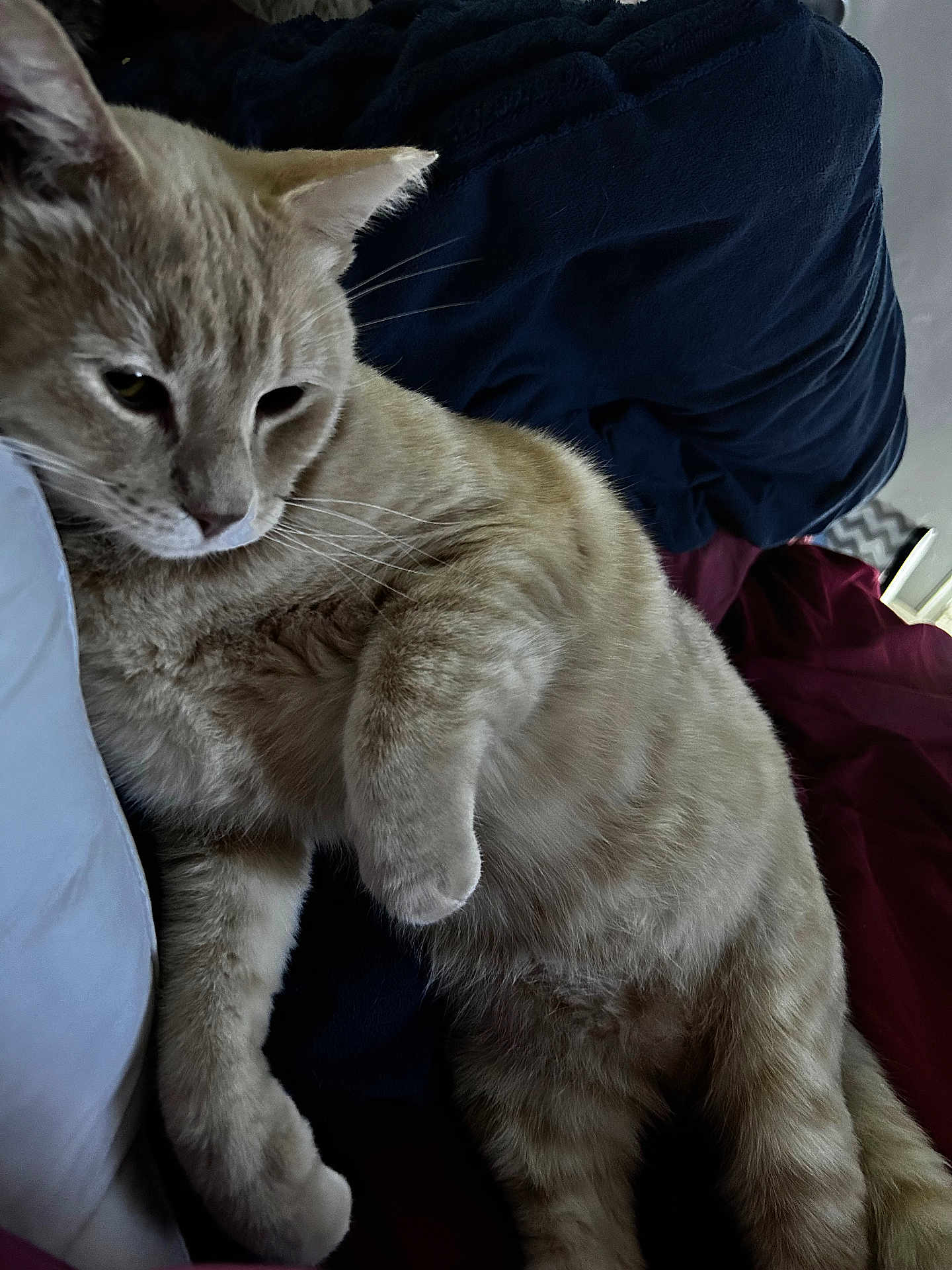 Winston