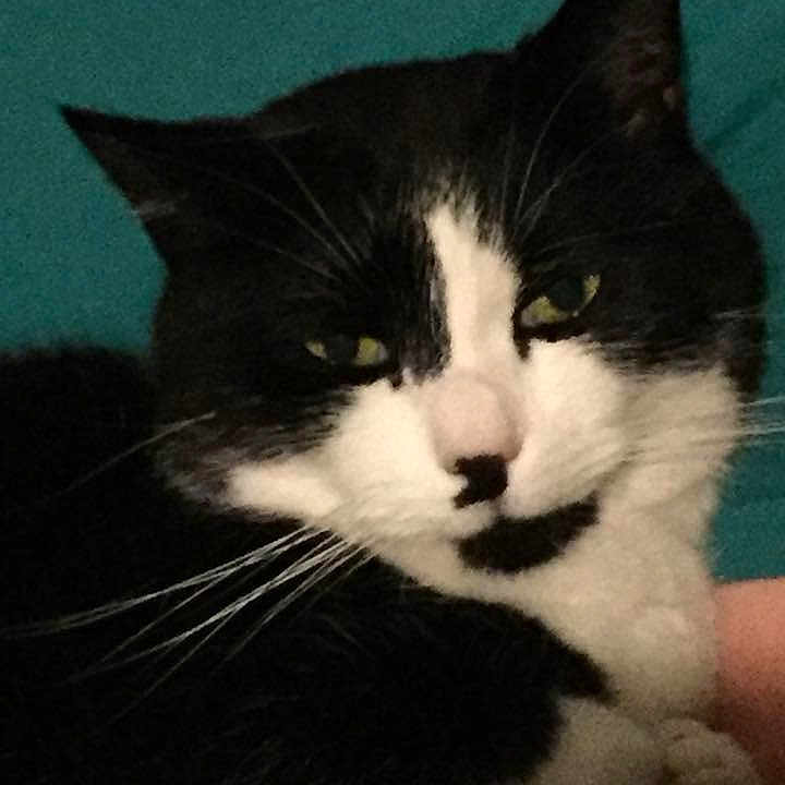 Moustache