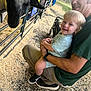 toddler, child, adult, man, sheep, animal, fence, outdoor, farm, smile, happy, grass, wood_shavings, casual, holding, hat, shorts, sneakers, tattoo, interaction