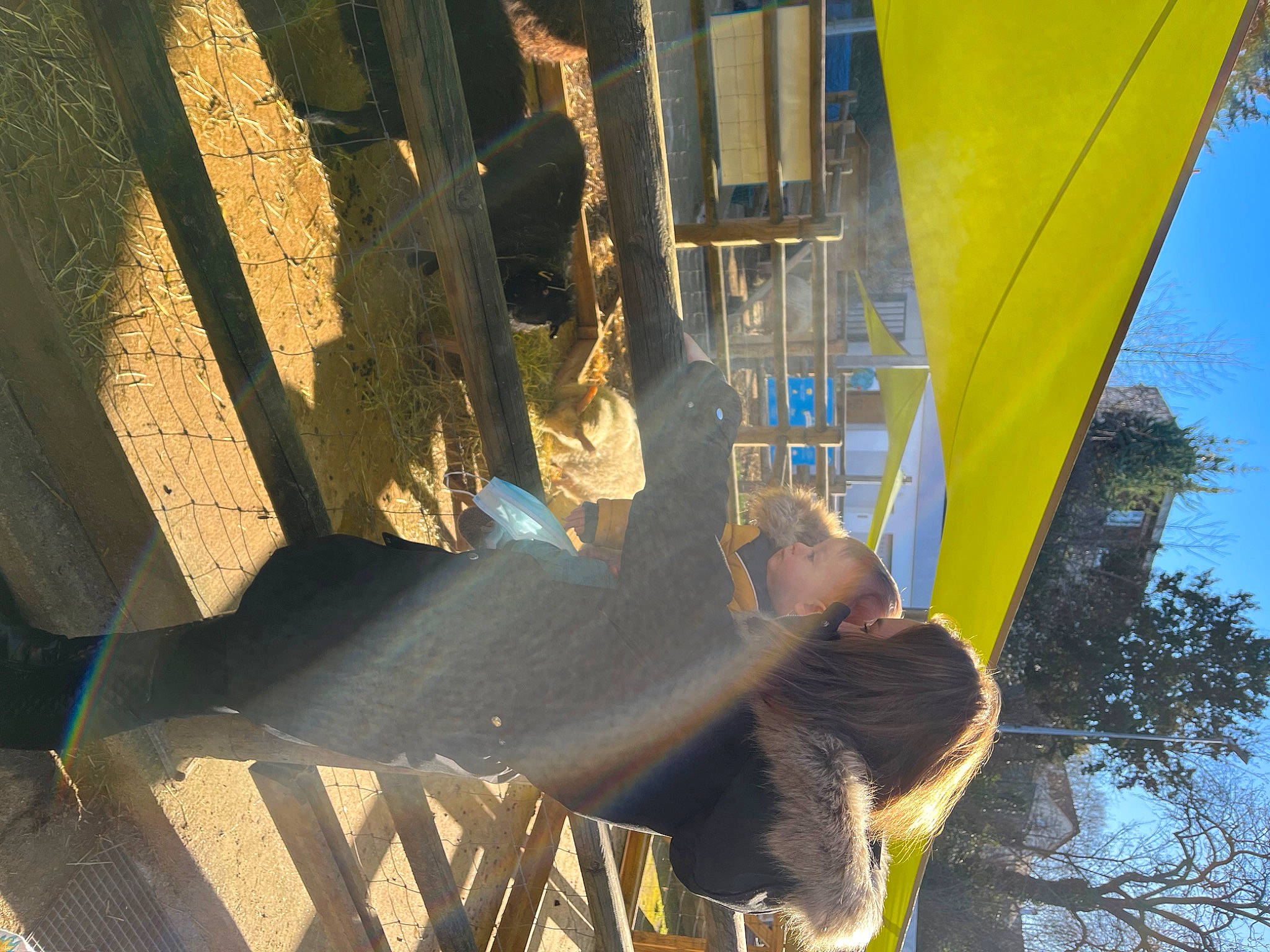 Jade participe au concours pour gagner de l'argent avec cette photo : city, concrete, fun, grass, leaf, leisure, metal, person, plant, reflection, shade, shadow, sky, sunlight, tints_and_shades, tree, trunk, water, winter, wood