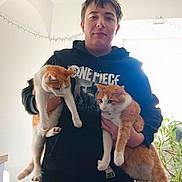 émilie participe au concours pour gagner de l'argent avec cette photo : person, cat, orange_cat, white_cat, indoor, hoodie, one_piece, plant, string_lights, holding, pets, animal, casual_clothing, young_adult, home, feline, two_cats, relaxed, light_background, portrait
