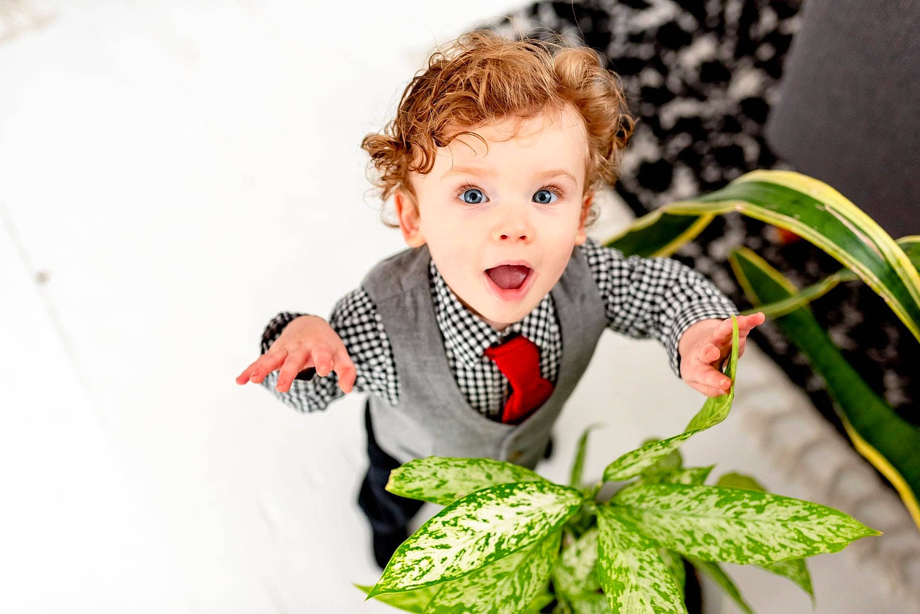 Terry joined the competition — help win amazing prizes! baby, baby_products, baby_toddler_clothing, chair, dress, eye, face, fashion_design, grass, happy, human_body, iris, pattern, people_in_nature, person, plant, sleeve, surprise, terrestrial_plant, toddler