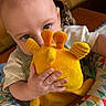 baby, child, plush_toy, yellow_toy, blue_eyes, curious, hand, infant, seated, patterned_seat, indoor, close_up, soft_toy, cute, small_hand, face, person, colorful, comfortable, playful