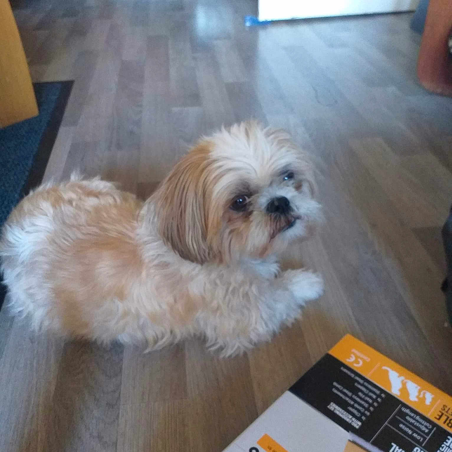 Milka