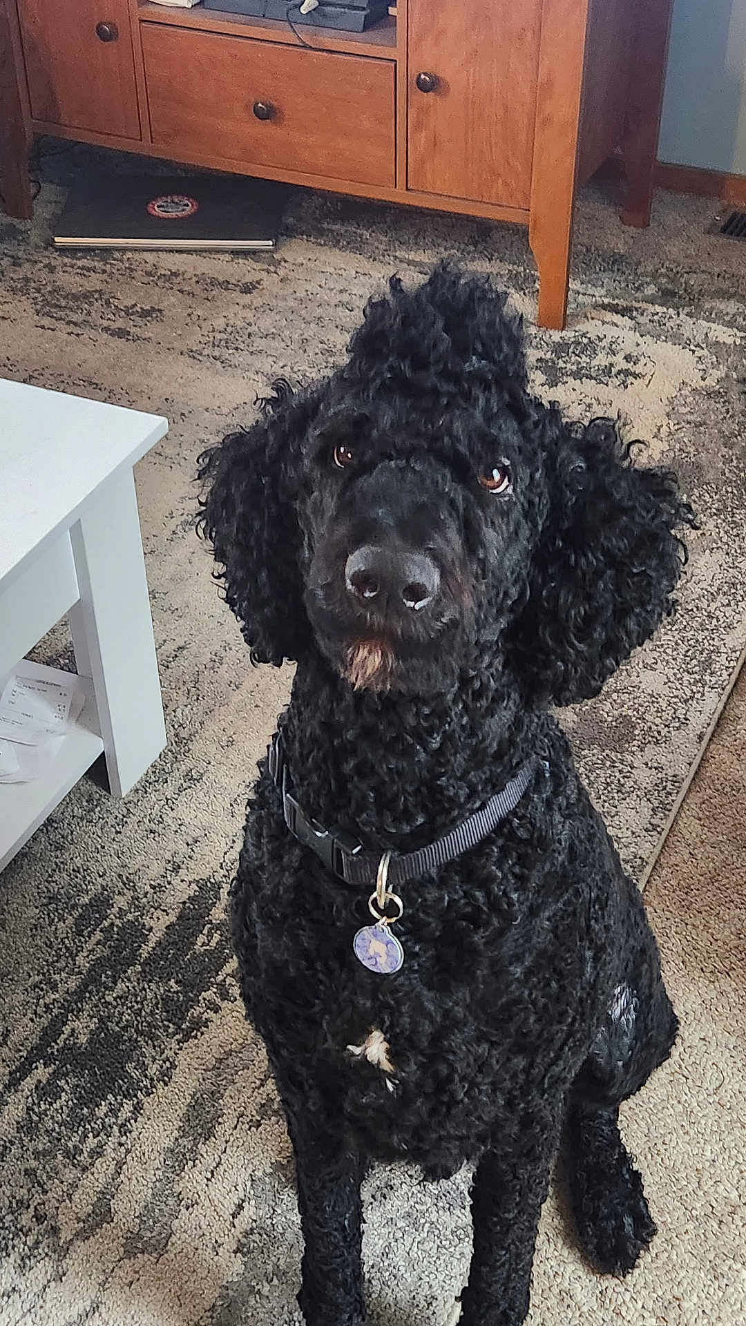 Marley
