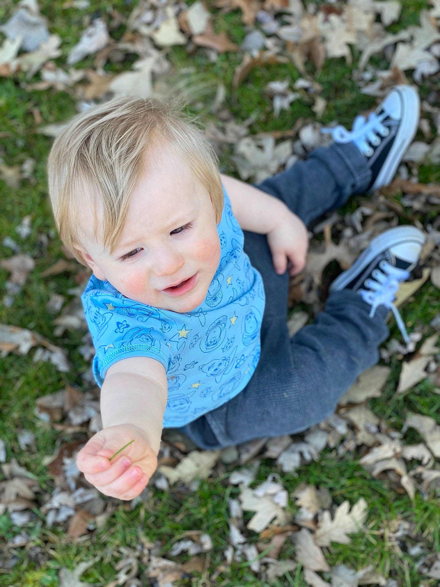Malachai is registered to the contest to win money with this photo: baby, baby_toddler_clothing, child, electric_blue, eye, face, finger, fun, grass, happy, head, pattern, people_in_nature, person, plant, skin, sleeve, toddler, tree, walking_shoe