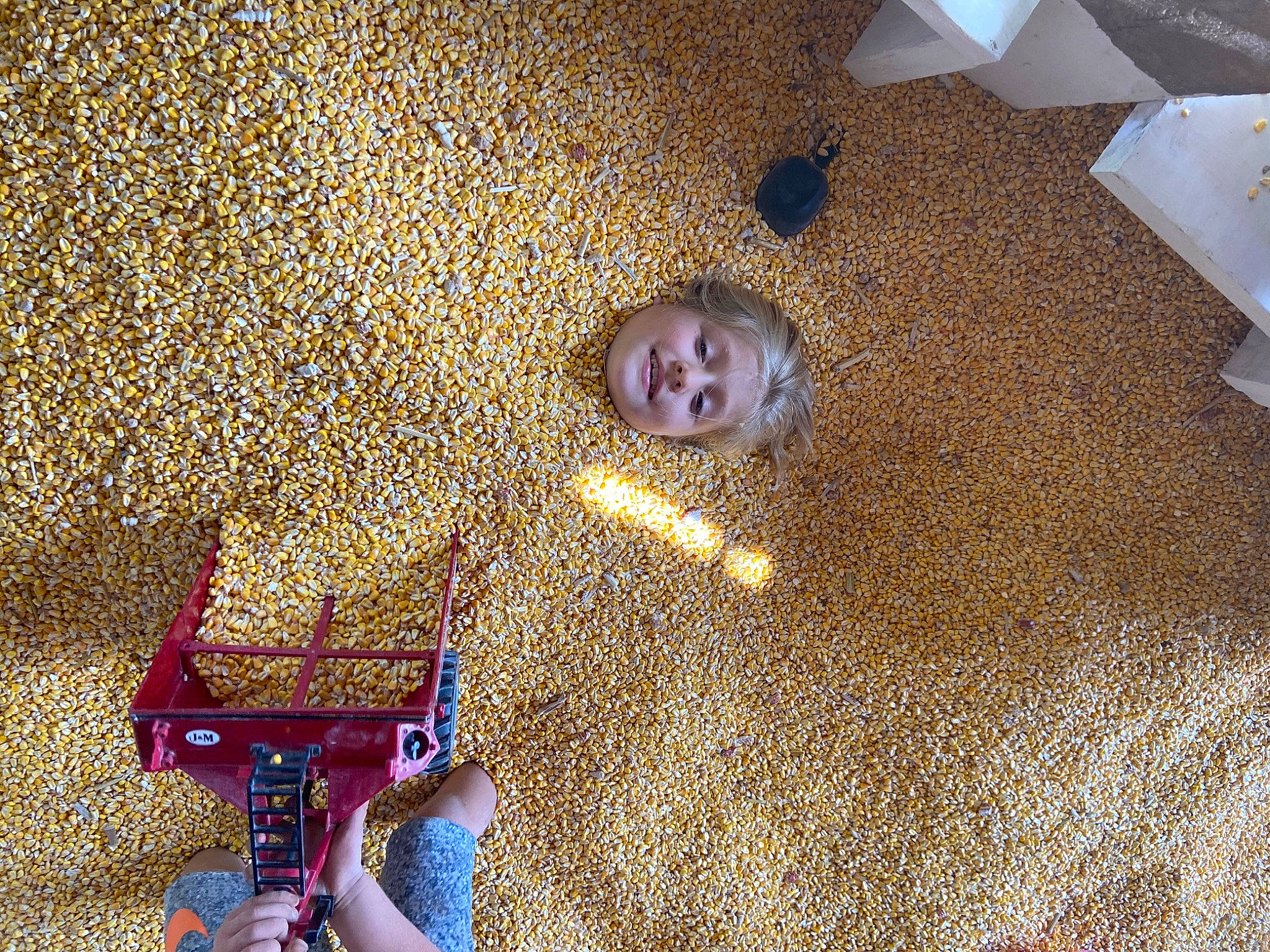 Tearcyn joined the competition — help win amazing prizes! art, ceiling, circle, electric_blue, flooring, fun, joy, mammal, metal, musical_instrument, pattern, person, room, smile, space, vertebrate, wall, wood