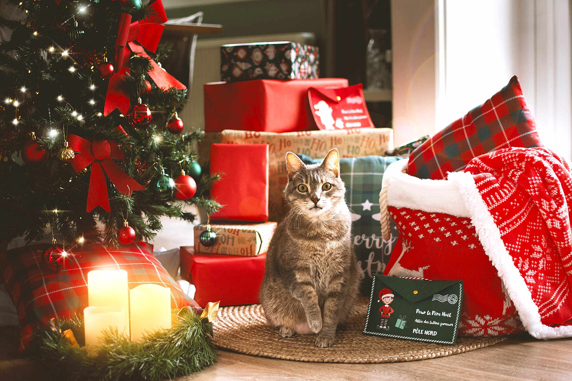 Félix a rejoint le concours — aidez-le/la à gagner de superbes lots ! cat, tabby_cat, christmas_tree, christmas_presents, candles, holiday_decor, plaid_pillow, red_bow, ornaments, woven_mat, festive_blanket, indoor, decorations, gift_box, holiday_season, pet, curious, cozy, festive, home