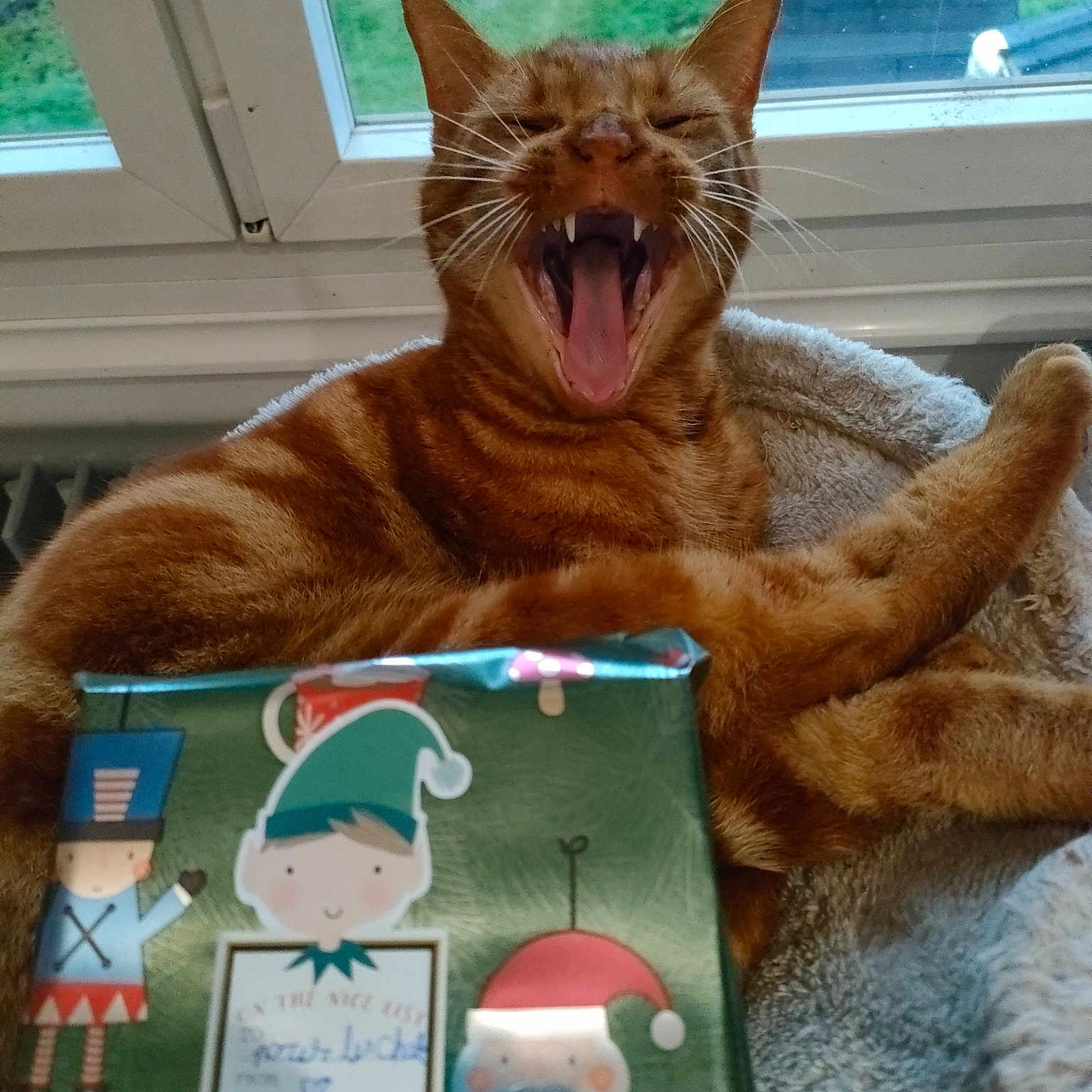 Simba