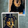Lee Roy a rejoint le concours — aidez-le/la à gagner de superbes lots ! black_and_tan, bow_tie, collage, dapper, dog, dogs, eyes, face, floppy_ears, formalwear, illustration, long_hair, nose, paper, photograph, portrait, serious_expression, top_hat, vintage_style, wall