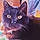 Salem