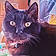 Salem