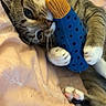 cat, tabby, toy, fish_toy, blanket, bed, paws, cute, pet, indoor, feline, playful, soft, claws, whiskers, relaxed, animal, sleepy, domestic_cat, cozy