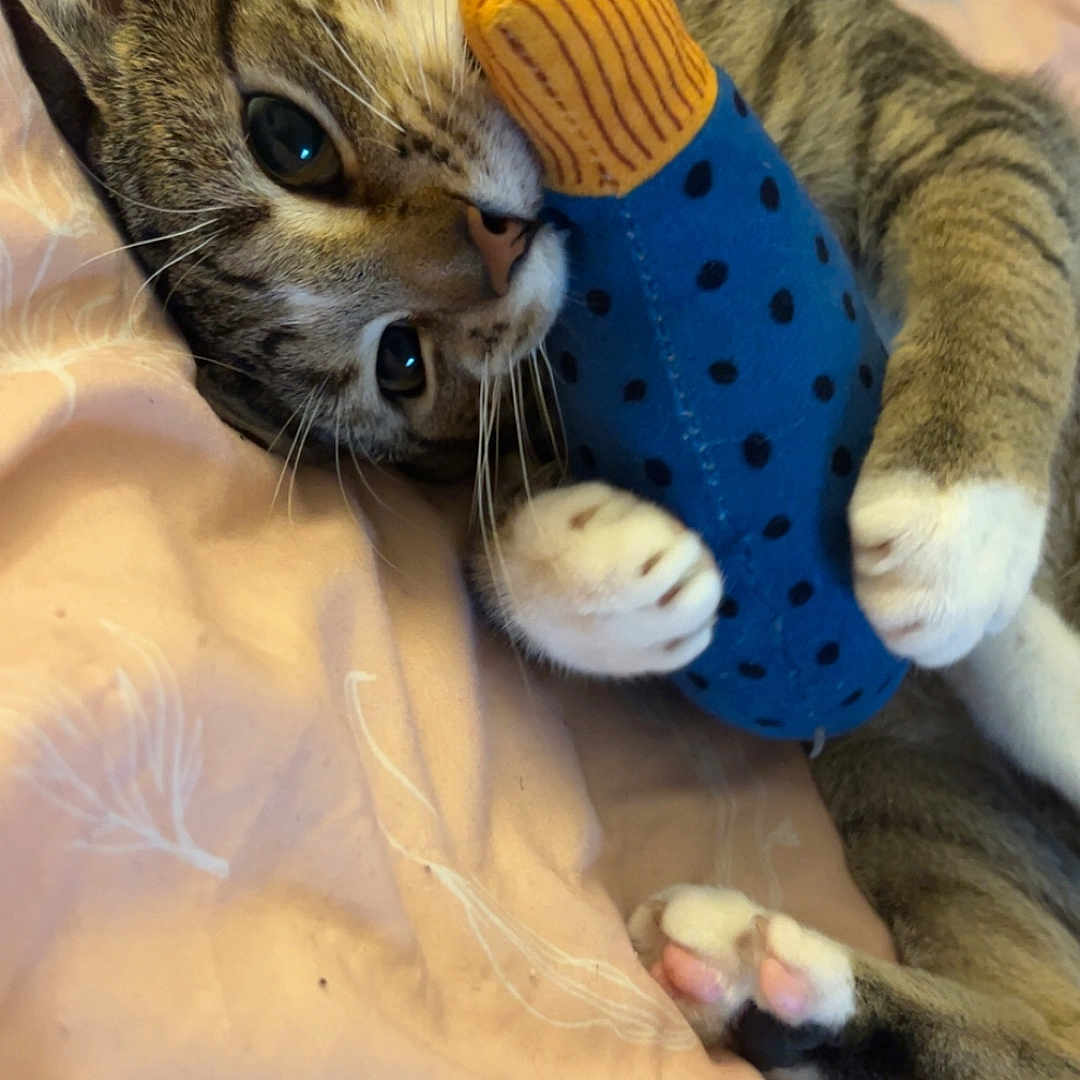 Milo