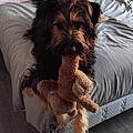 Sylvie D.