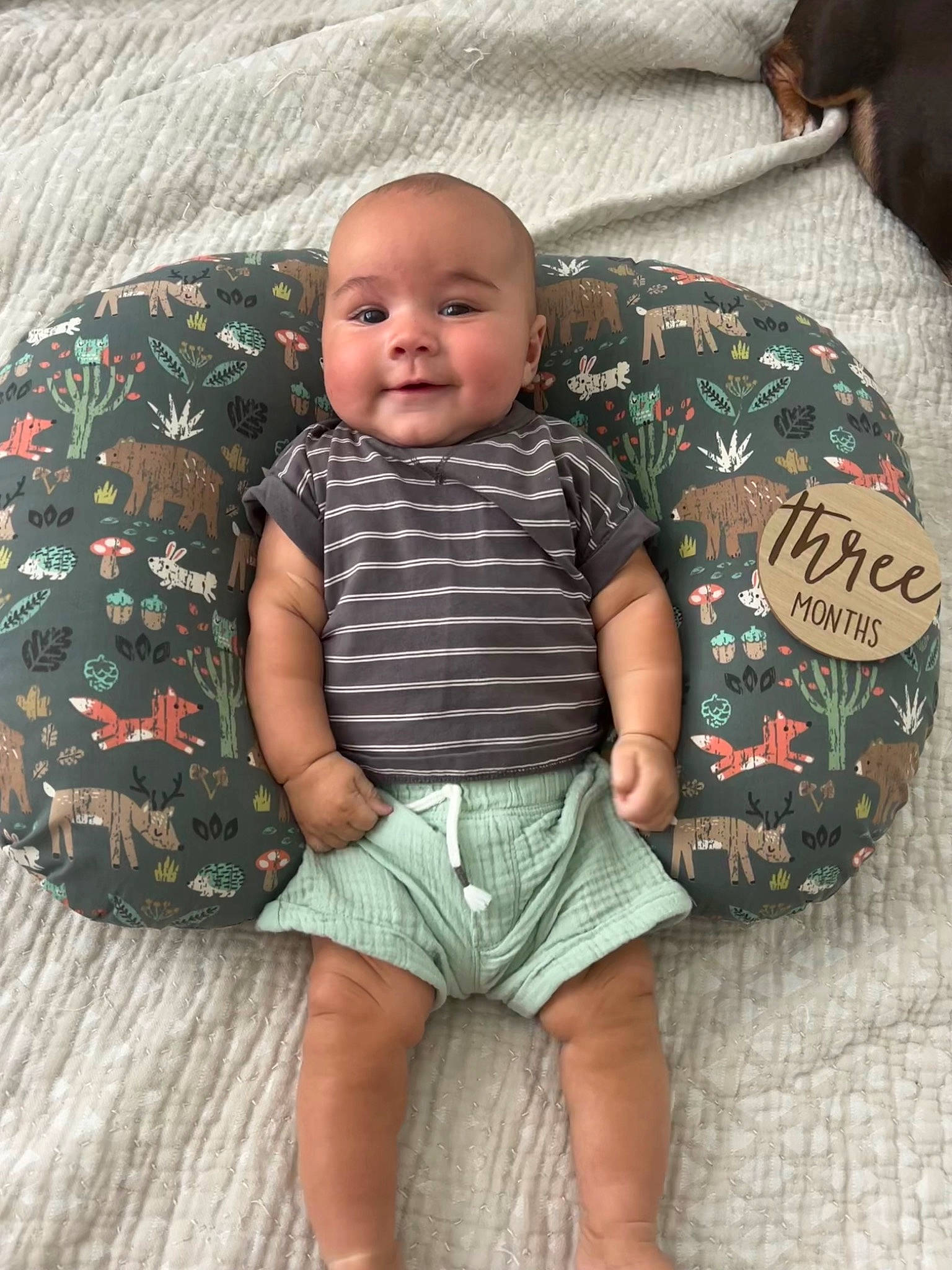 Cooper is registered to the contest to win money with this photo: baby, baby_toddler_clothing, brown, cheek, child, comfort, eye, face, hairstyle, head, joy, pattern, person, shorts, skin, sleeve, smile, t_shirt, textile, thigh