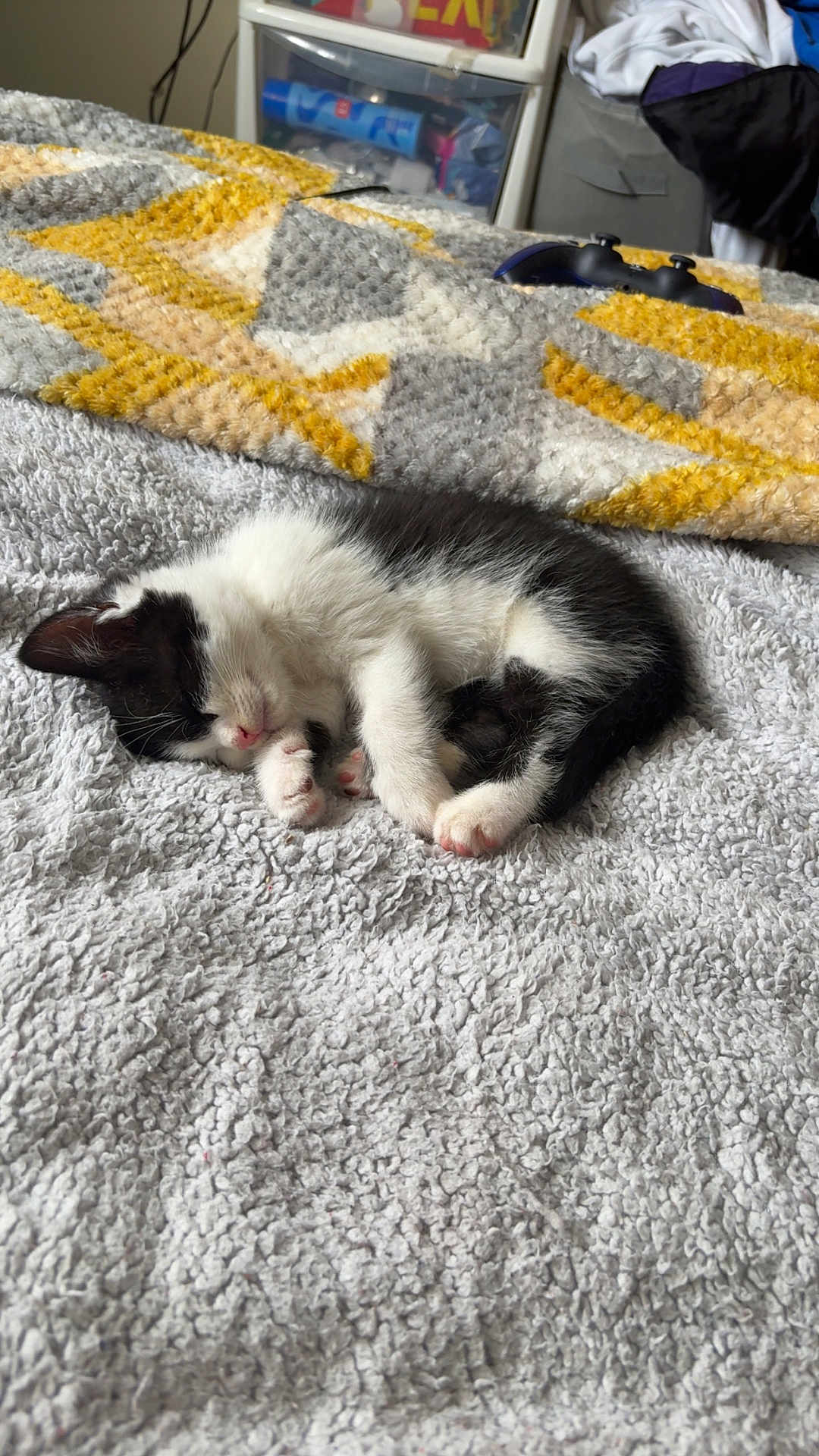 Oreo