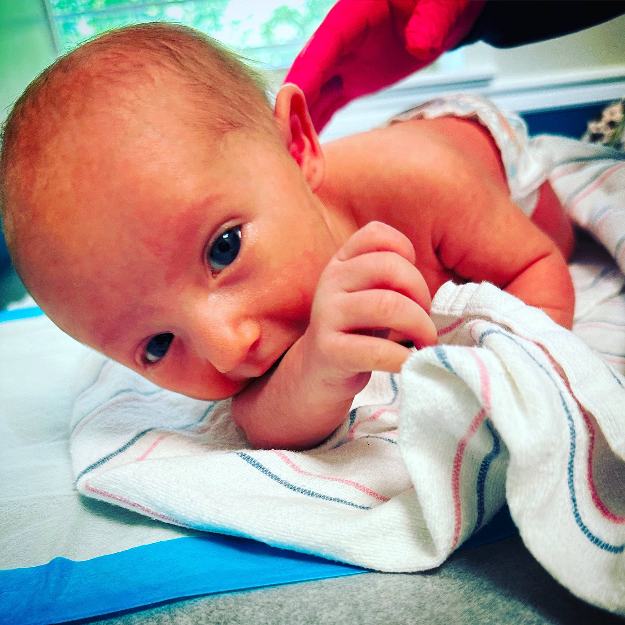 Aleia joined the competition — help win amazing prizes! arm, baby, baby_toddler_clothing, cheek, comfort, eye, eyebrow, eyelash, finger, gesture, hand, happy, head, iris, lip, mouth, nose, person, skin, thumb