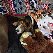 Dixie is registered to the contest to win money with this photo: animal, beagle, black, blanket, brown, couch, cozy, dog, dog_throw, fur, home, indoor, moose_toy, patterned_blanket, pet, plush_toy, relax, resting, tongue_out, white