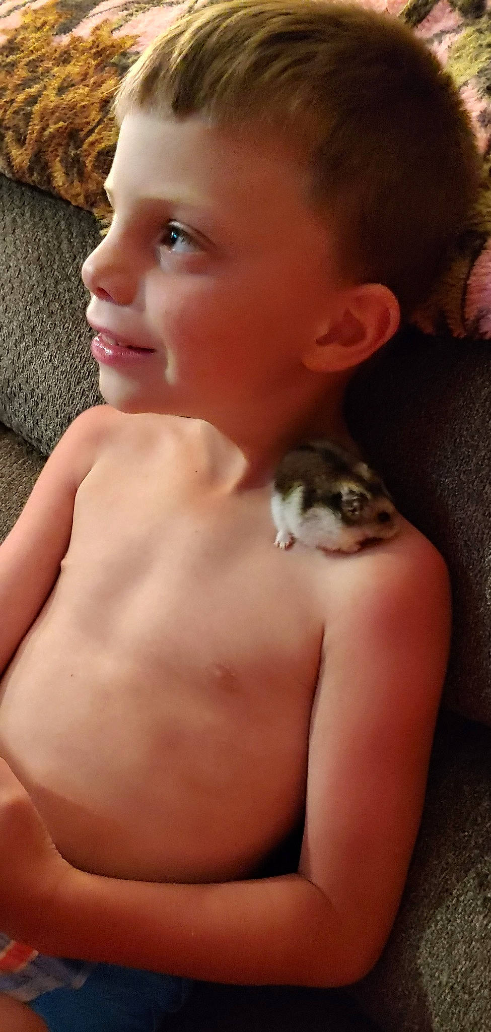 Joseph joined the competition — help win amazing prizes! cheek, chest, child, ear, face, fawn, head, joint, mouth, muscle, neck, person, skin, toddler, trunk