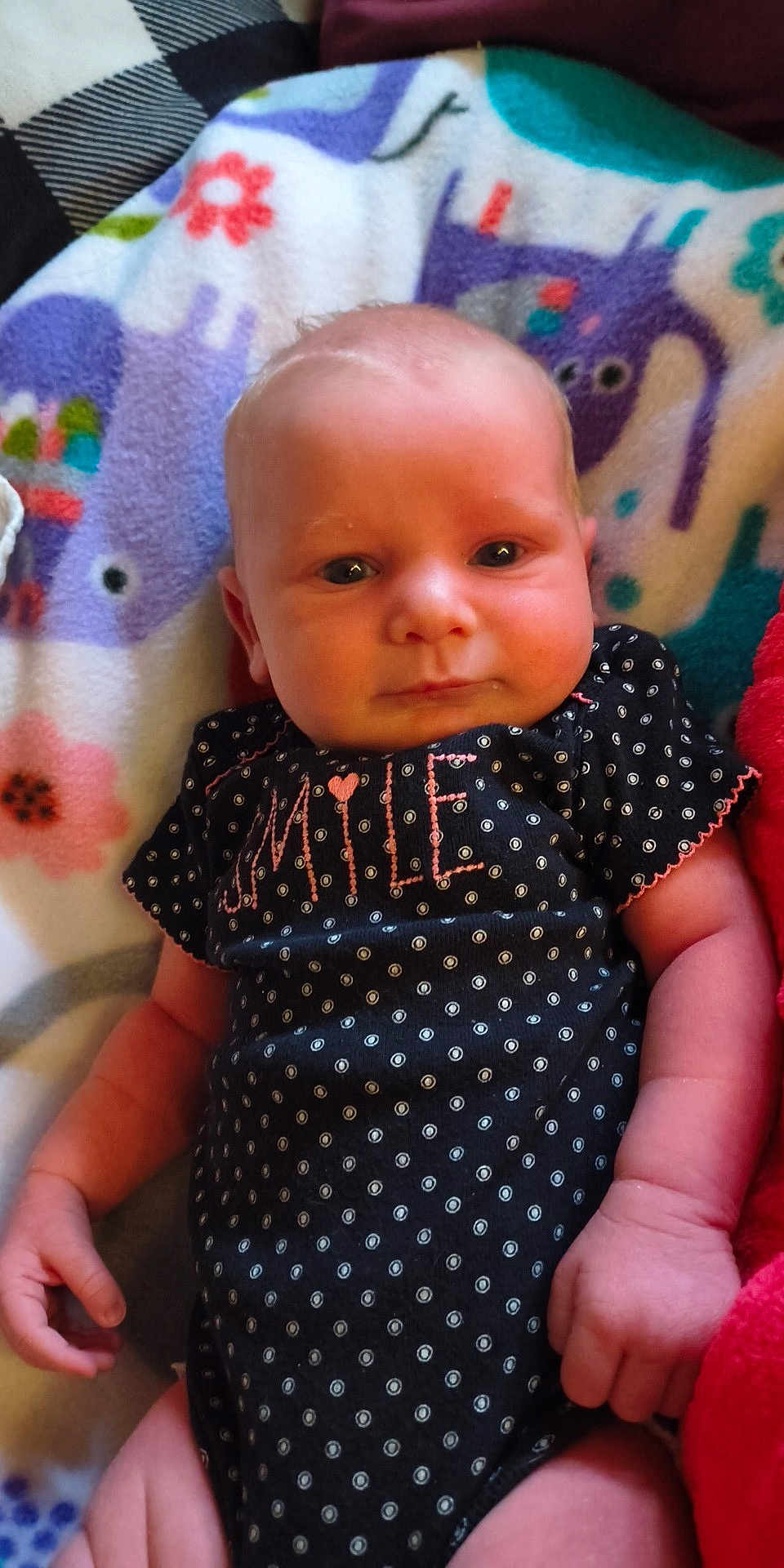 Adeline joined the competition — help win amazing prizes! baby, infant, blanket, animal_print, clothing, polka_dot, face, hand, cute, lying_down, soft_toys, colorful, child, newborn, portrait, indoors, expression, person, smile, fabric