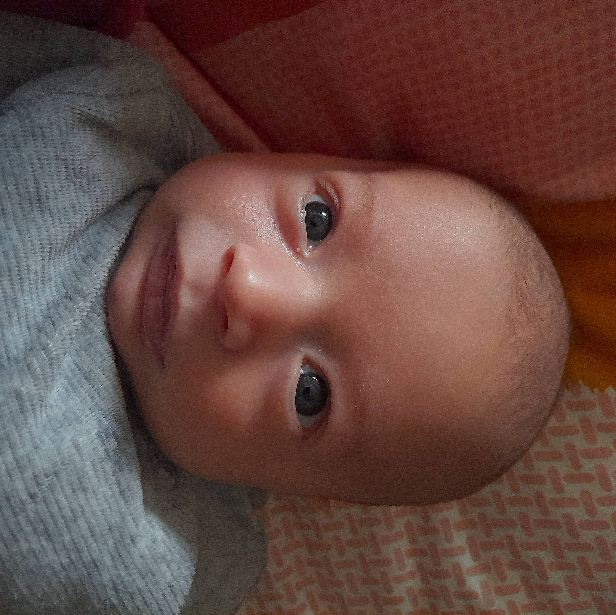 Joao participe au concours pour gagner de l'argent avec cette photo : baby, cheek, chest, eye, eyebrow, eyelash, foam, forehead, hair, head, human_body, iris, jaw, lip, mouth, neck, no_expression, nose, person, toddler