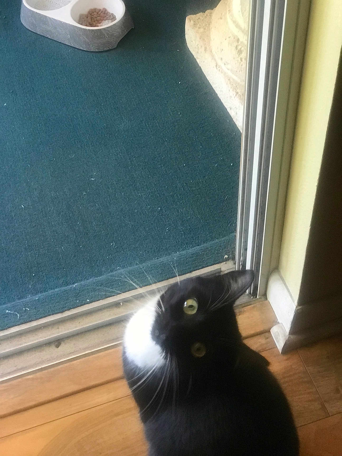 Homie