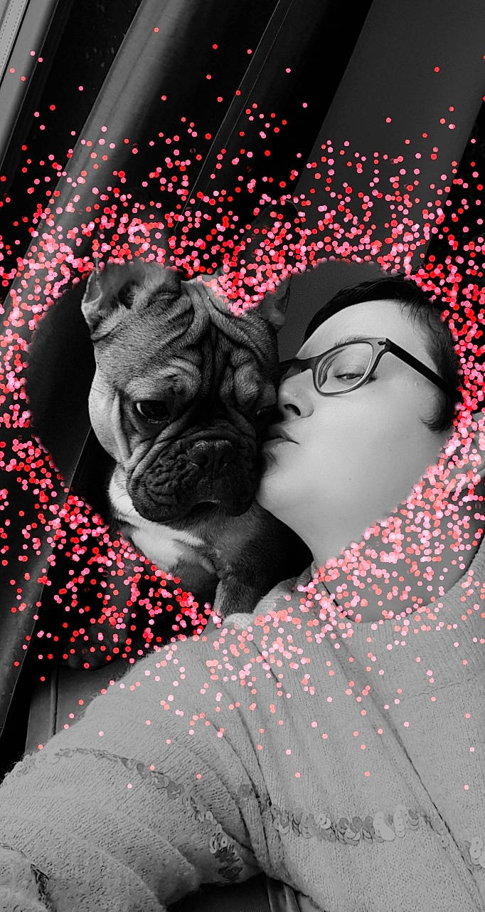 Marley a rejoint le concours — aidez-le/la à gagner de superbes lots ! carmine, carnivore, companion_dog, dog, dog_breed, event, eyewear, fawn, flash_photography, glasses, interaction, magenta, pattern, plant, pug, red, snout, stock_photography, toy_dog, wrinkle
