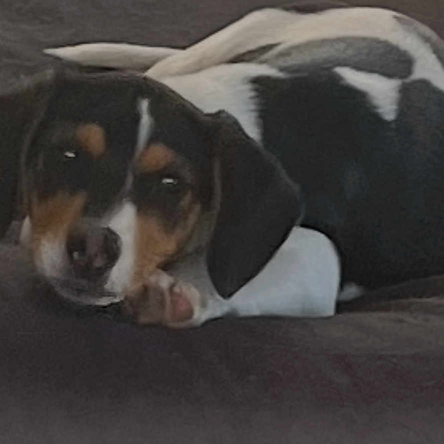 Miss Winston