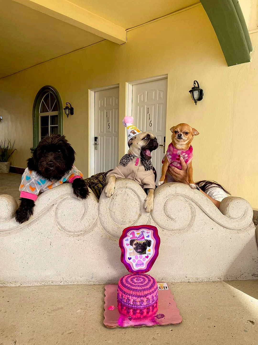 Heidy joined the competition — help win amazing prizes! art, building, companion_dog, doll, event, fawn, floor, flooring, fun, house, interior_design, magenta, pink, purple, room, stairs, stuffed_toy, toy, visual_arts, wood