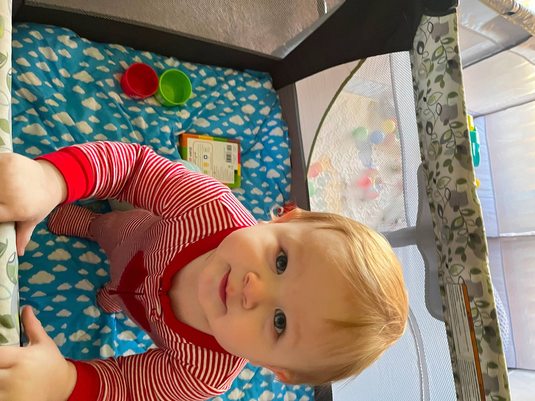 Casen joined the competition — help win amazing prizes! baby, baby_products, baby_safety, baby_toddler_clothing, cheek, child, fun, happy, leisure, linens, pattern, person, room, skin, smile, textile, toddler, tree, wood