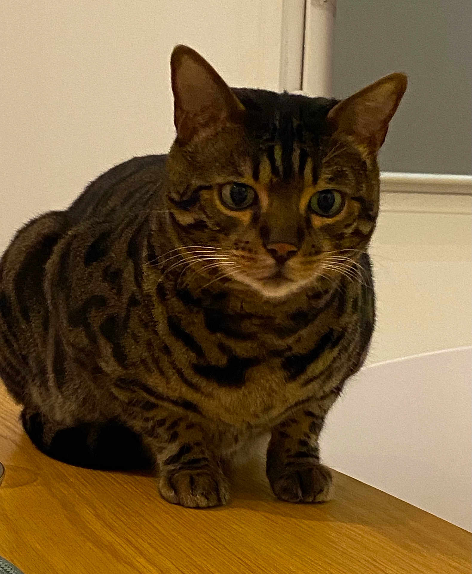 Milo