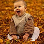Livia participe au concours pour gagner de l'argent avec cette photo : baby, child, autumn, leaves, outdoor, smiling, happy, nature, fall, season, cute, sitting, clothing, toddler, portrait, warm_colors, baby_face, playful, fun, cozy