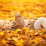 Livia participe au concours pour gagner de l'argent avec cette photo : baby, autumn, leaves, fall, child, outdoor, nature, cozy, clothing, tights, portrait, cute, seasonal, baby_face, laying_down, soft_light, warm_colors, ground, background_blur, young_child