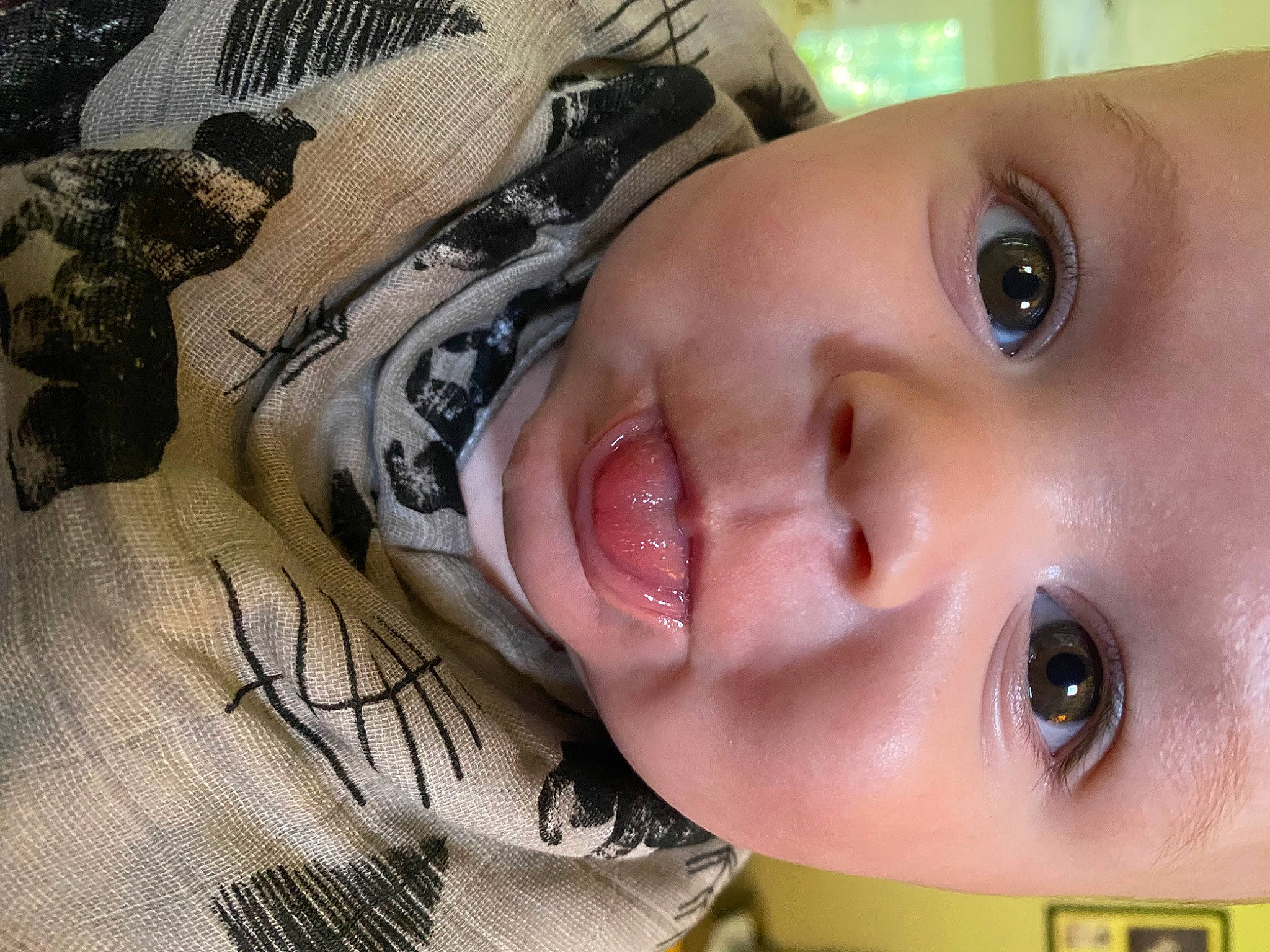 Jude joined the competition — help win amazing prizes! baby, beauty, cheek, child, chin, ear, eyebrow, eyelash, facial_expression, forehead, happy, iris, lip, mouth, neck, nose, person, plant, skin, smile