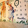 baby, blue_clothing, carpet, celebration, child, cute, decorative, giraffe, greenery, indoors, infant, lying_down, milestone_blanket, months, numbers, one_month, portrait, soft_texture, striped_overalls, wreath