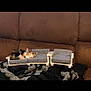 Tiger is registered to the contest to win money with this photo: kitten, sleeping, miniature_couch, brown_couch, blanket, indoor, pet, small, cute, feline, resting, cozy, soft, fur, animal, home, furniture, tiny, relaxing, calm