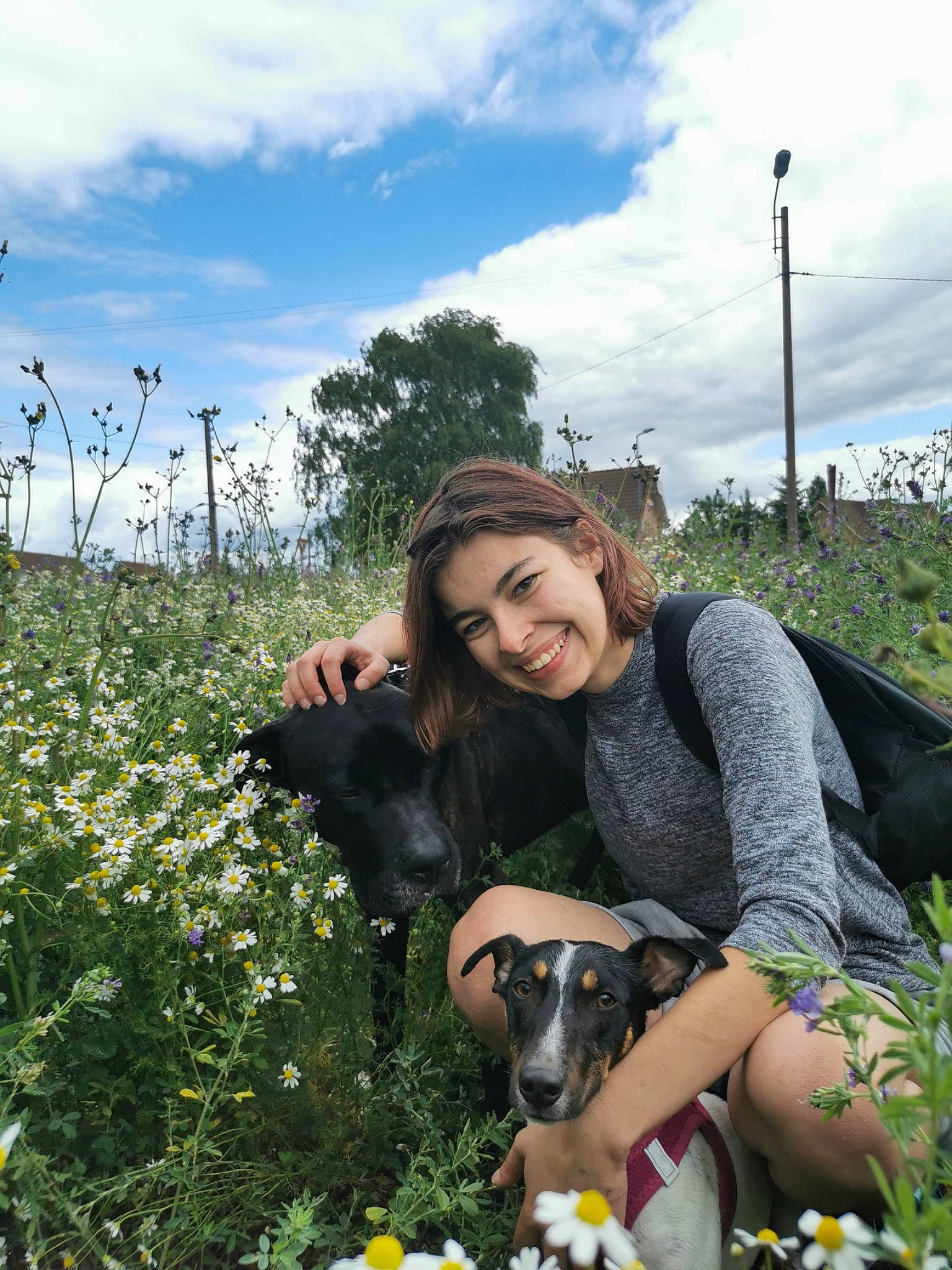 Rebelle a rejoint le concours — aidez-le/la à gagner de superbes lots ! botany, carnivore, cloud, companion_dog, dog, fawn, flower, grass, grassland, happy, landscape, leisure, meadow, people_in_nature, plant, shrub, sky, smile, summer, tree