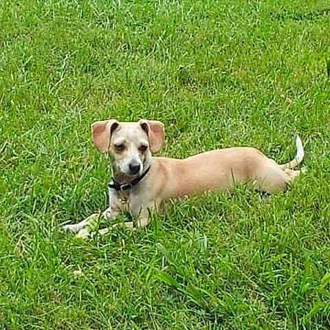 Chloe