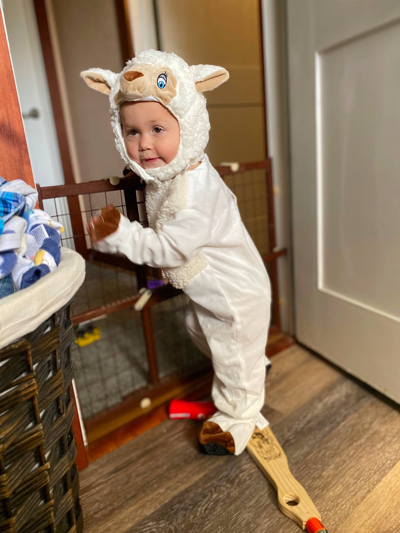 Liam is registered to the contest to win money with this photo: baby_toddler_clothing, chair, child, drawer, event, flooring, fun, fur, happy, hardwood, headwear, knee, laminate_flooring, person, personal_protective_equipment, room, sitting, smile, sock, toddler