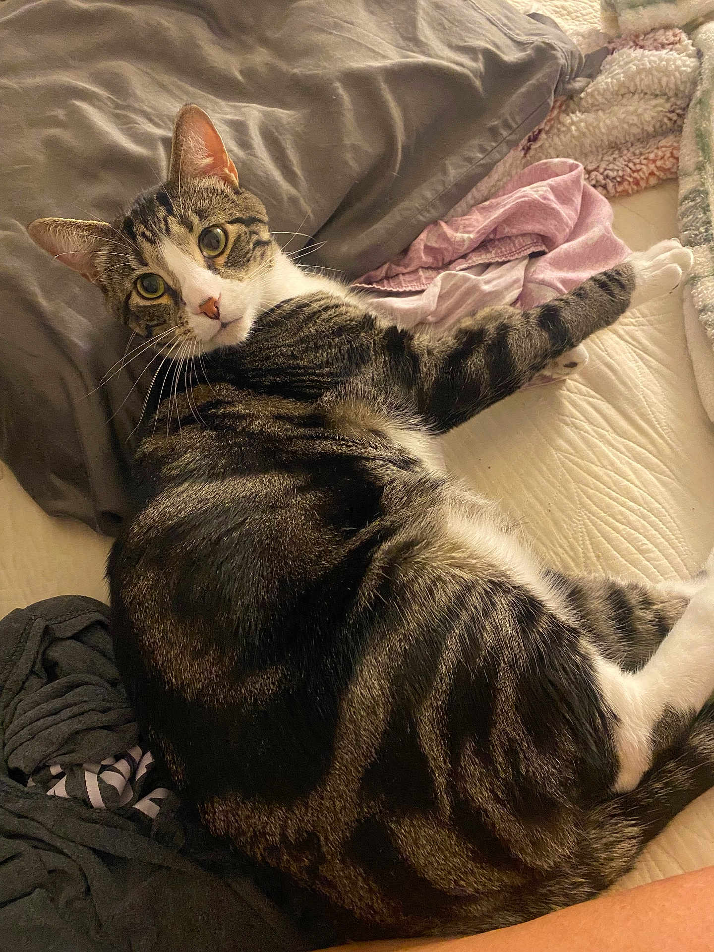 Leo