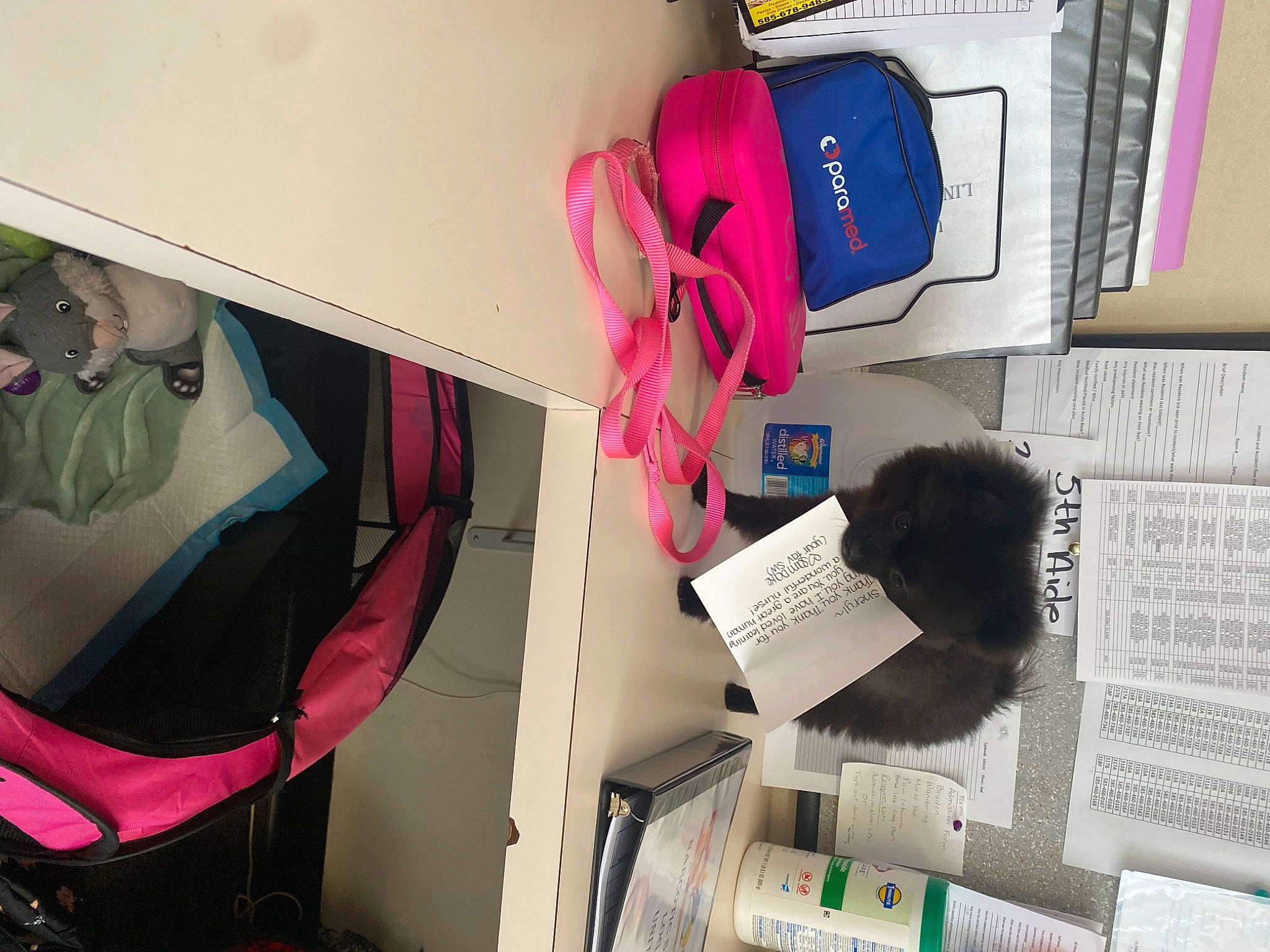 Chloe joined the competition — help win amazing prizes! automotive_design, backpack, bag, baggage, carmine, closet, electric_blue, eyewear, fashion_accessory, fashion_design, font, luggage_and_bags, magenta, material_property, paper, pattern, plastic, publication, room, visual_arts