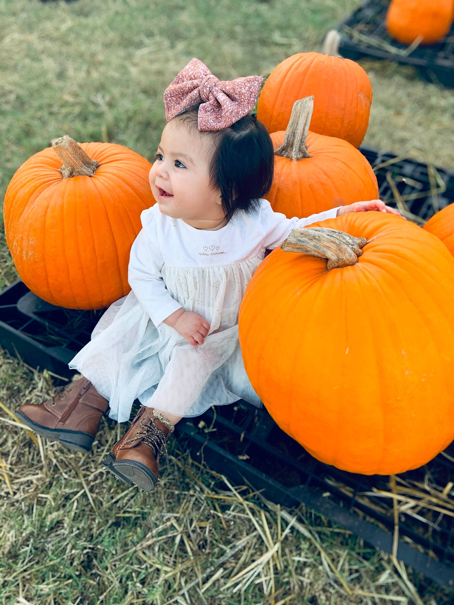 Jaslynn joined the competition — help win amazing prizes! _and_melon_family, _gourd, calabaza, child, cucumber, cucurbita, food, fruit, gourd, happy, local_food, orange, person, plant, produce, pumpkin, smile, squash, toddler, vegetable