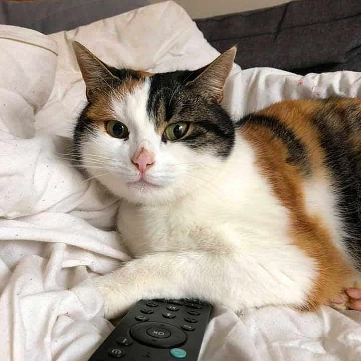 Lili