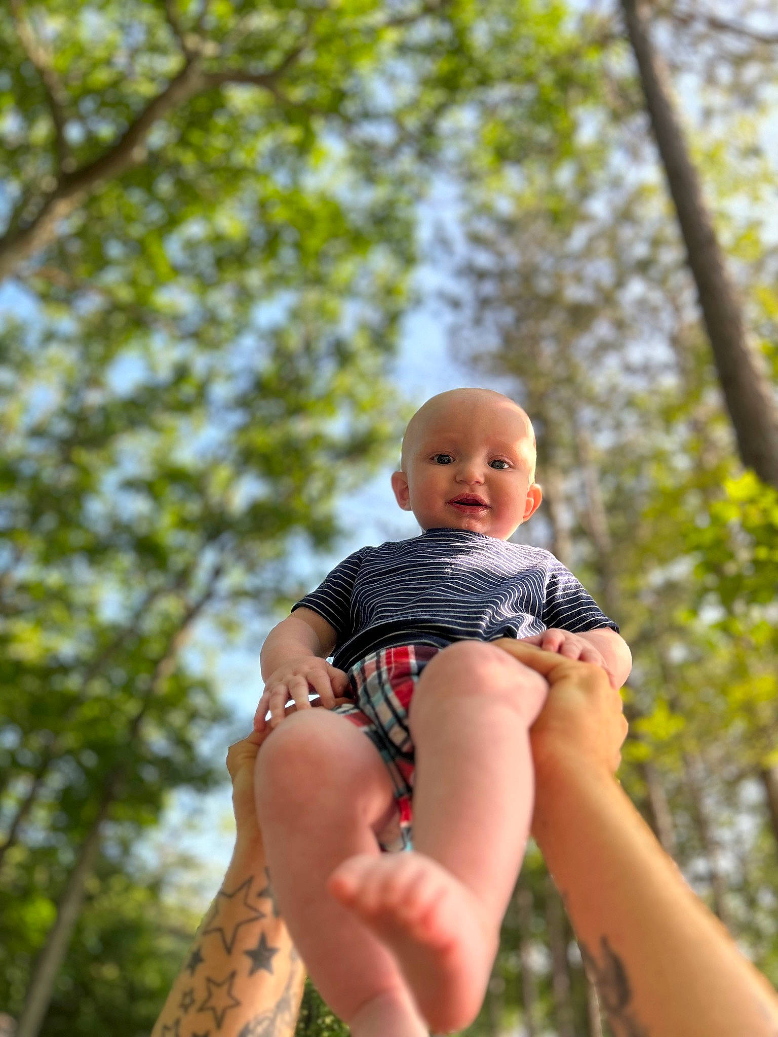 Levi joined the competition — help win amazing prizes! baby, baby_toddler_clothing, botany, fawn, grass, happy, human_body, leg, leisure, nail, people_in_nature, person, plant, skin, sky, thigh, thumb, toddler, tree, trunk